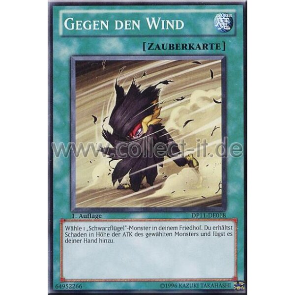 DP11-DE018 Gegen den Wind