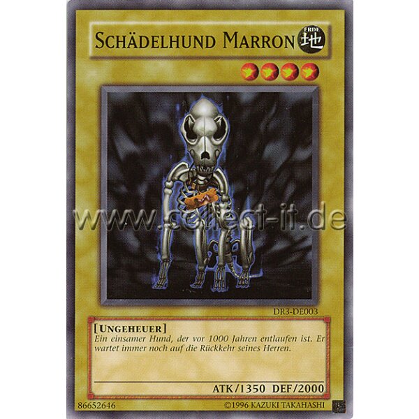 DR3-DE003 Schädelhund Marron