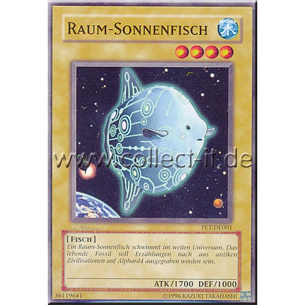 FET-DE001- Raum-Sonnenfisch