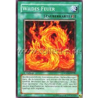 FOTB-DE039 Wildes Feuer