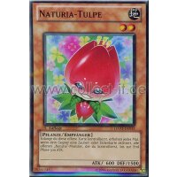 HA03-DE013 Naturia-Tulpe
