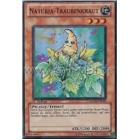 HA04-DE050 Naturia-Traubenkraut