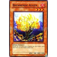 IOC-DE062 Brennende Algen