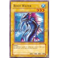 LOB-E026 - Root Water