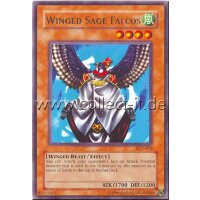 PGD-072 - Winged Sage Falcos