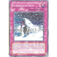 PSV-G018 - Schneetreiben