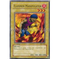 SDJ-G006 Flammen-Manipulator