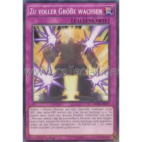 SHVI-DE077 Zu voller Größe wachsen - Shining...