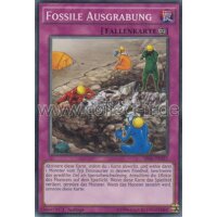 SR04-DE032 - Fossile Ausgrabung