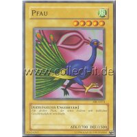 SRL-G011 - Pfau