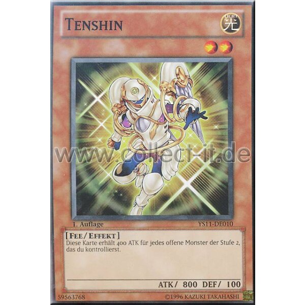 YS11-DE010 Tenshin