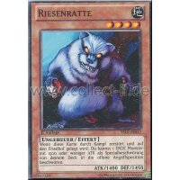 YS12-DE017 Riesenratte