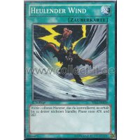 YS12-DE019 Heulender Wind