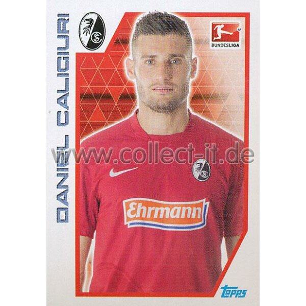 TBU101 Daniel Caligiuri - Saison 2012/13