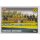 TOPPS Bundesliga 2016/2017 - Sticker 89 - Borussia Dortmund Team