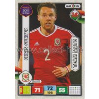 WAL02 - Chris Gunter - ROAD TO WM 2018 - Team Mates