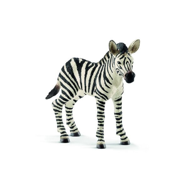 Schleich Wild Life 14811 - Zebra Fohlen