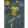 Fifa 365 Cards 2018 - LE12 - Alexander Isak - Limited Edition