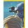 Sticker 008 - Blue Ocean - LEGO Ninjago - Sammelsticker