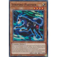 EXFO-DE003 - Striping-Partner - 1. Auflage