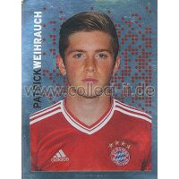 BAM1314-129 - Patrick Weihrauch - Panini FC Bayern...
