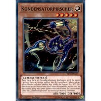 SP18-DE007 - Kondensatorpirscher - 1. Auflage