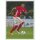 BAM1617 - Sticker 49 - Jerome Boateng - Panini FC Bayern München 2016/17