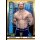 WWE Slam Attax - 10th Edition - Nr. 133 - Aiden English - Smackdown Live