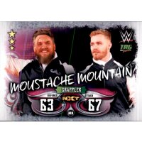 Karte 349 - Moustache Mountain - Tag Team - WWE Slam...