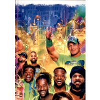 Karte 381 - Wrestlemania 34 - Puzzle (2) - WWE Slam Attax...