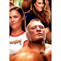 Karte 384 - Wrestlemania 34 - Puzzle (5) - WWE Slam Attax...