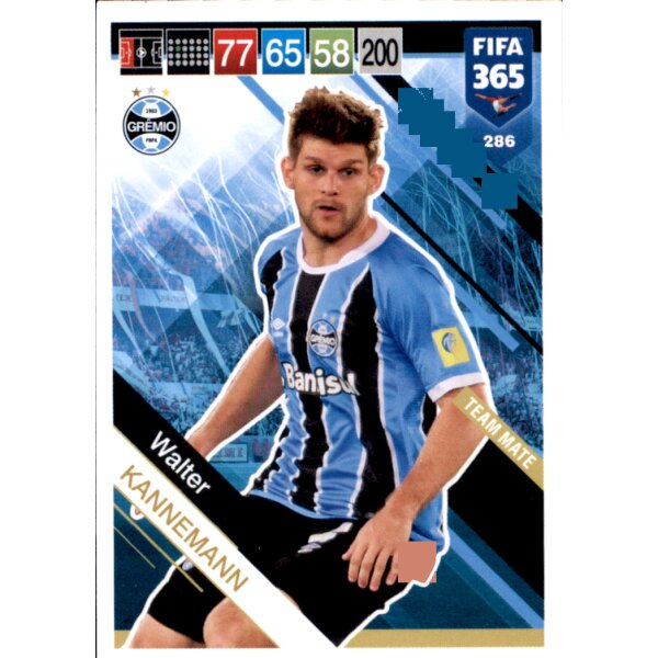 Fifa 365 Cards 2019 - 286 - Walter Kannemann - Team Mate