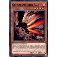 SOFU-DE004 - Grosalamander Falko