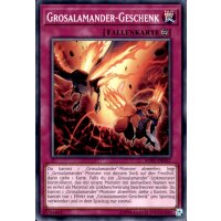 SOFU-DE067 - Grosalamander-Geschenk  - Unlimitiert