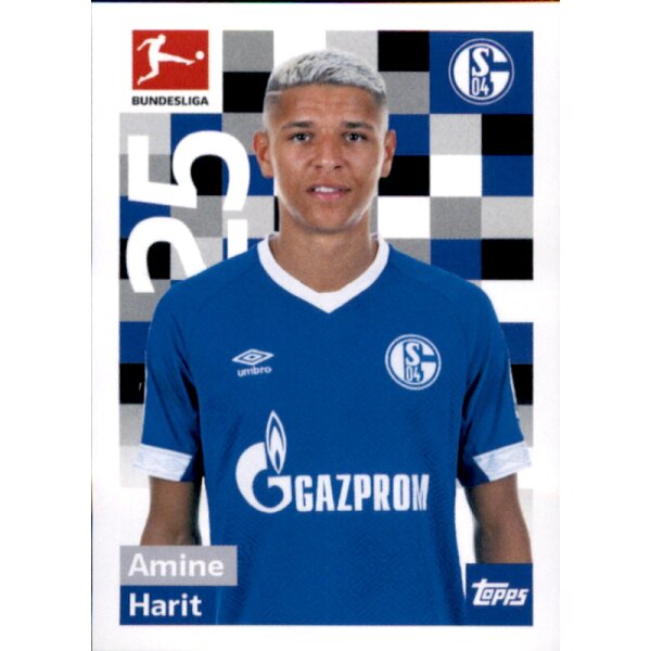 TOPPS Bundesliga 2018/2019 - Sticker 239 - Amine Harit