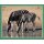 Sticker 13 - National Geographic - Wilde Tiere