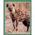 Sticker 15 - National Geographic - Wilde Tiere