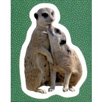 Sticker 19 - National Geographic - Wilde Tiere