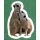 Sticker 19 - National Geographic - Wilde Tiere