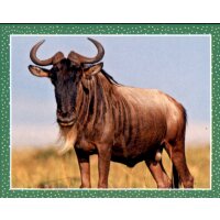 Sticker 22 - National Geographic - Wilde Tiere