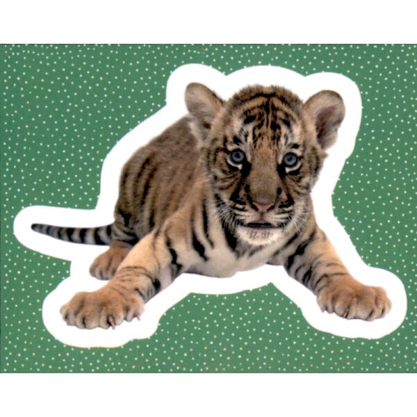 Sticker 24 - National Geographic - Wilde Tiere