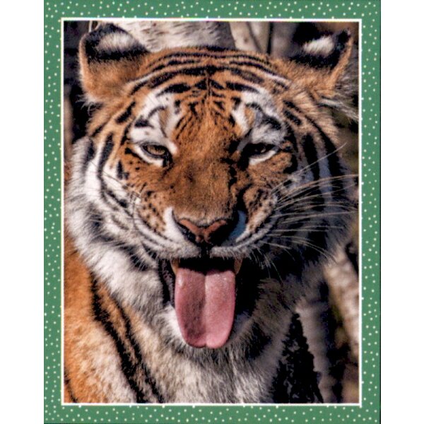 Sticker 26 - National Geographic - Wilde Tiere