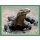 Sticker 28 - National Geographic - Wilde Tiere