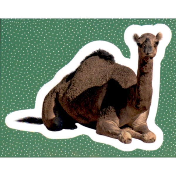 Sticker 33 - National Geographic - Wilde Tiere
