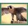 Sticker 44 - National Geographic - Wilde Tiere