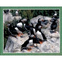 Sticker 52 - National Geographic - Wilde Tiere
