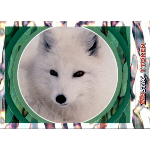 Sticker 60 - National Geographic - Wilde Tiere