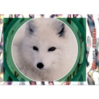 Sticker 60 - National Geographic - Wilde Tiere
