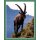 Sticker 68 - National Geographic - Wilde Tiere