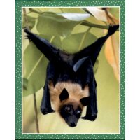 Sticker 75 - National Geographic - Wilde Tiere